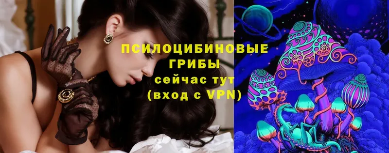 Псилоцибиновые грибы Magic Shrooms  сайты даркнета состав  Урюпинск 